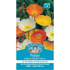 POPPY ICELAND MIXED COLOURS SEEDS
