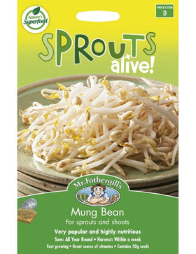 MUNG BEANS - SPROUTS ALIVE SEEDS