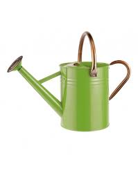 MOULTON MILL WATERING CAN 4.5L FRESH GREEN
