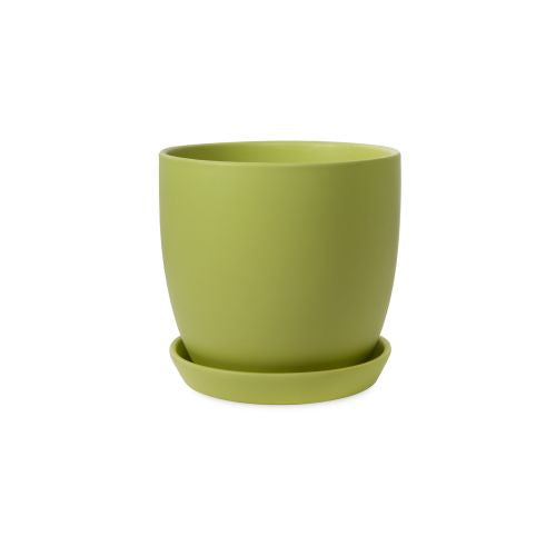 TULIP POT 12CM PERIDOT