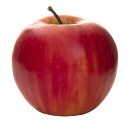 RED APPLE - ARTIFICIAL